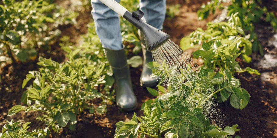 woman-hat-holding-funnel-works-garden