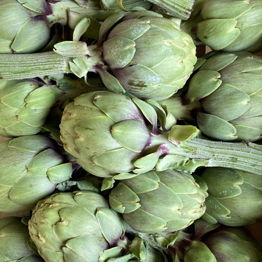 Artichaut blanc (500g)