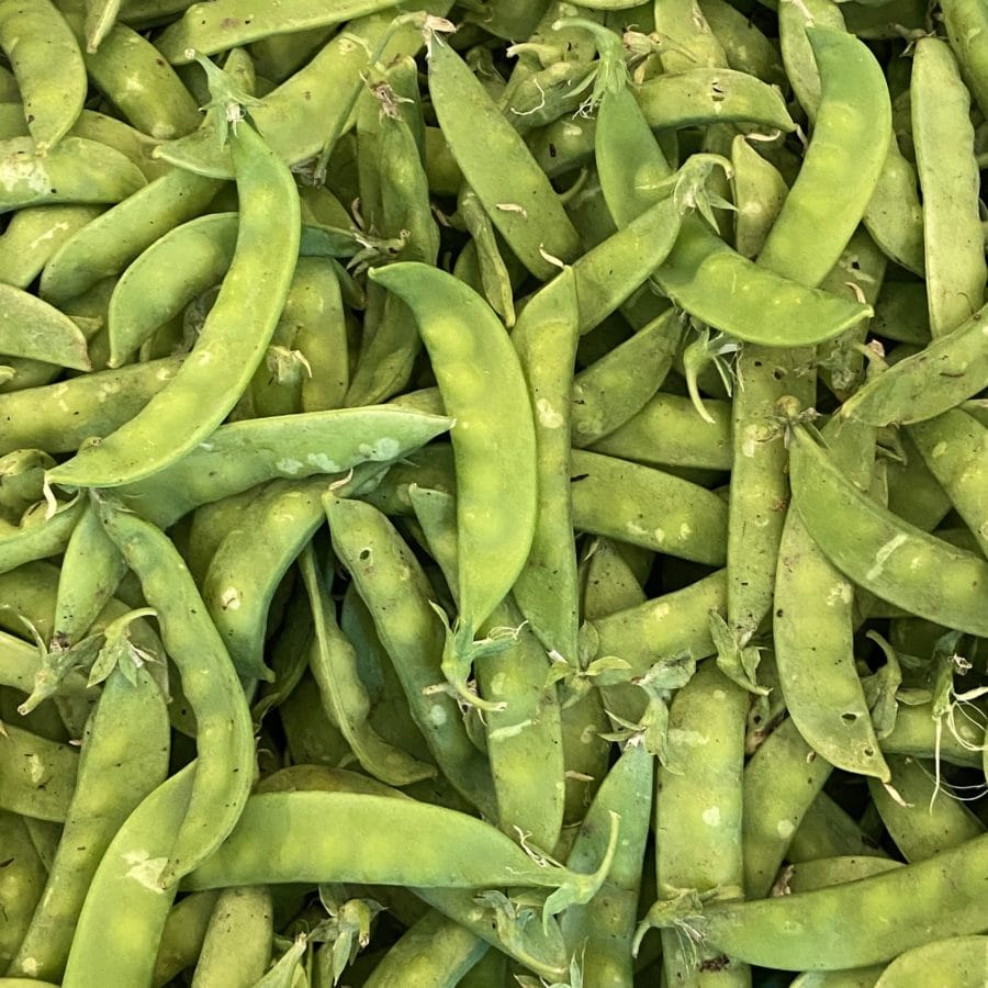 Petits pois (250g)