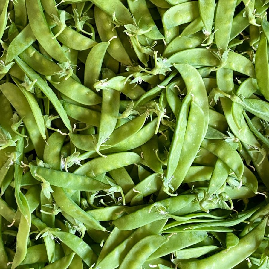 Pois Mange-tout (250g)