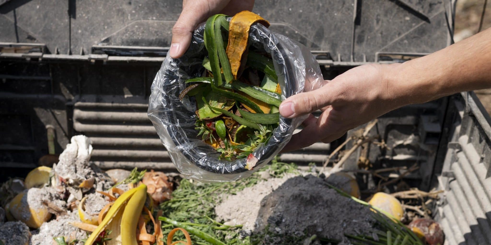 close-up-hands-holding-bowl