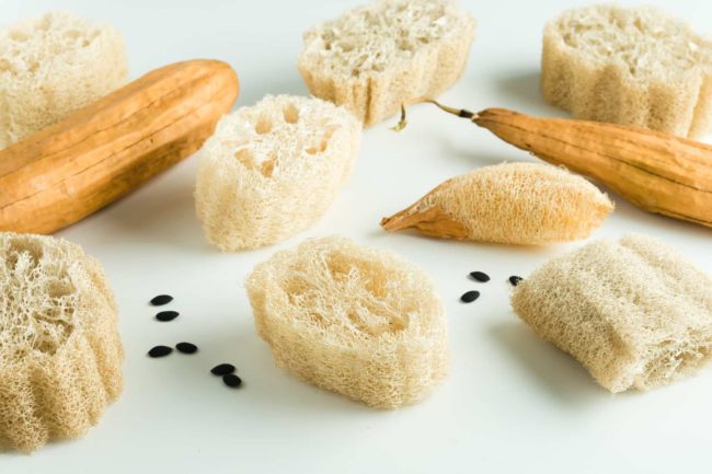 washcloth-from-loofah-plants