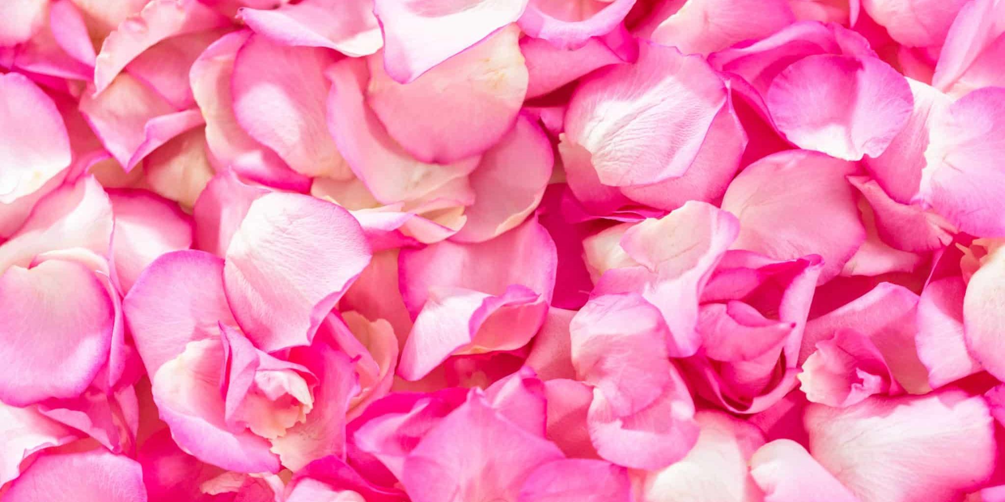 AF89D35F-1AFB-4138-B3A4-7EDFCE1EE30E