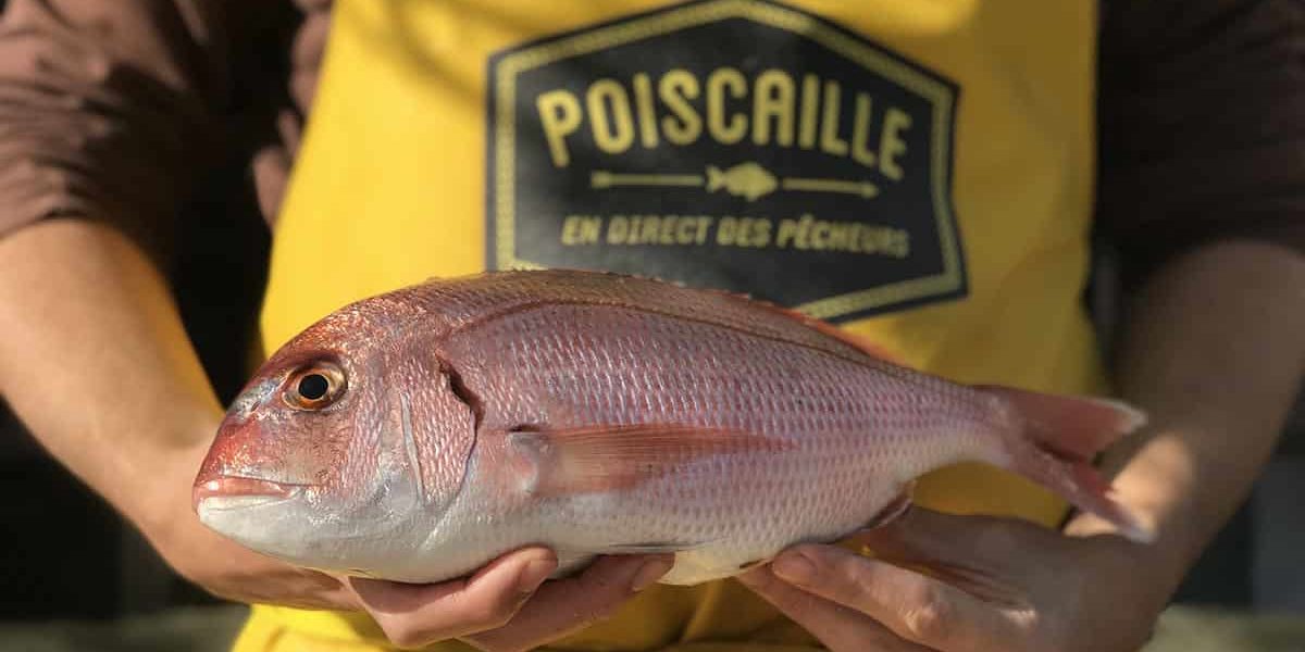 cidersub-pagre-tablier-poiscaille