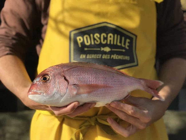 cidersub-pagre-tablier-poiscaille